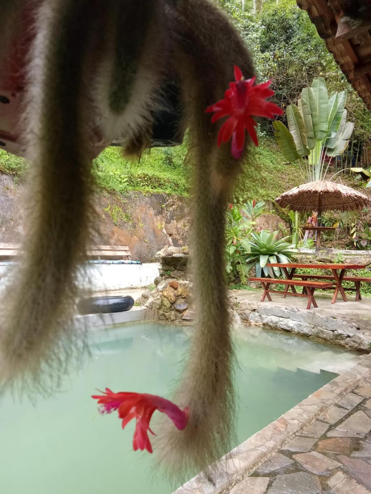 Refugio Boa Sorte , Sana Macae Rj Dış mekan fotoğraf